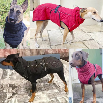 Manteau pour chien produit