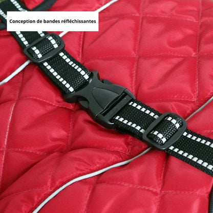 Manteau pour chien réfléchissantes
