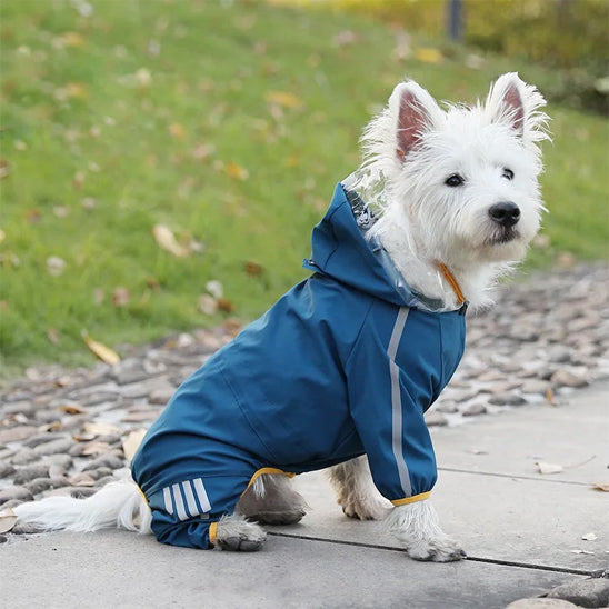 Manteau pour chien bleu imperméable