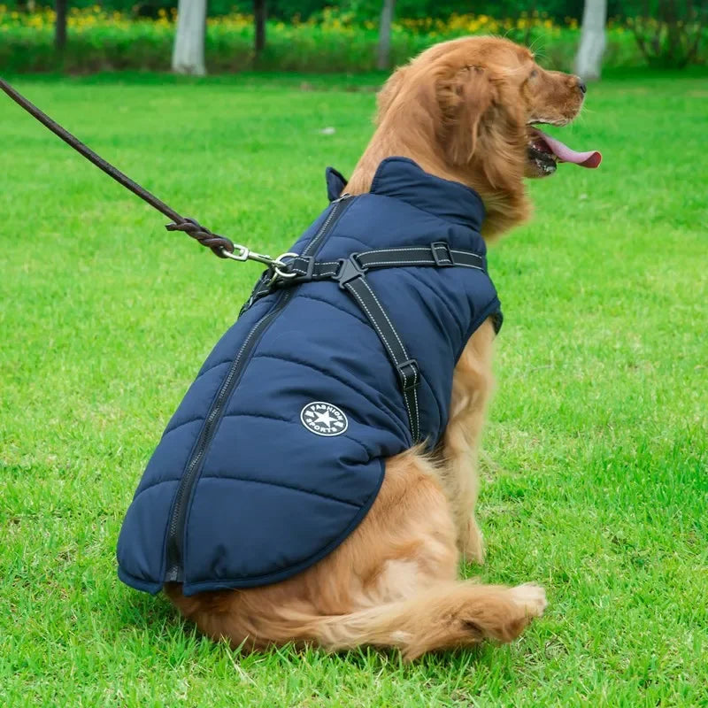 Manteau pour chien bleu