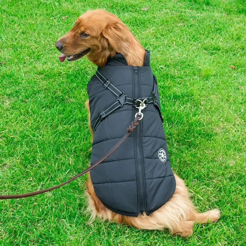 Manteau pour chien noir