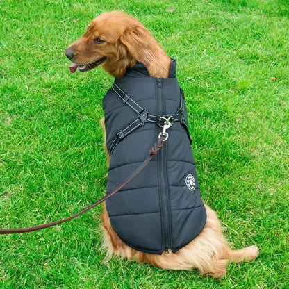 Manteau pour chien noir