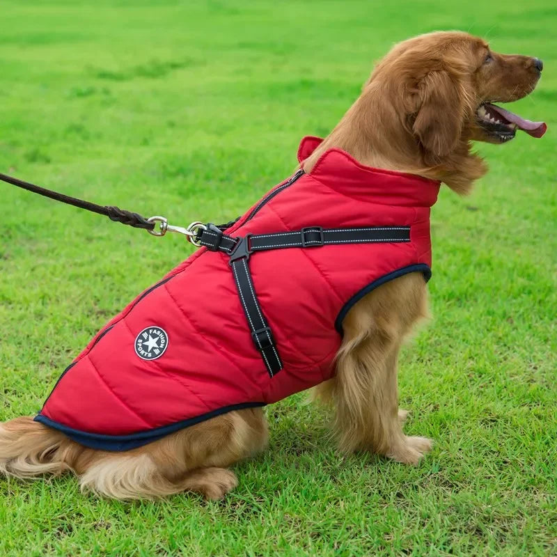 Manteau pour chien rouge