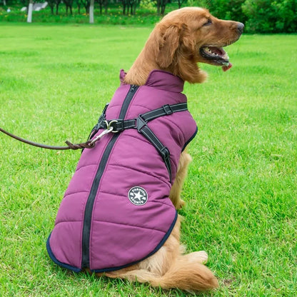 Manteau pour chien violet