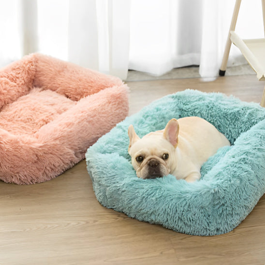 Panier pour chien bleu confortable