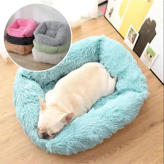 Panier pour chien bleu doux