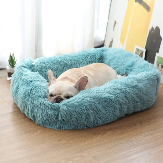 Panier pour chien bleu