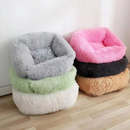 Panier pour chien couleurs liste