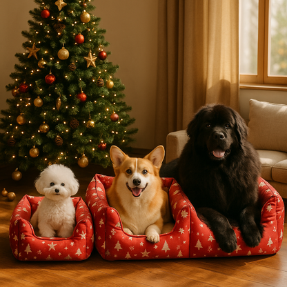 Panier de noël pour chien | Cozy Festif