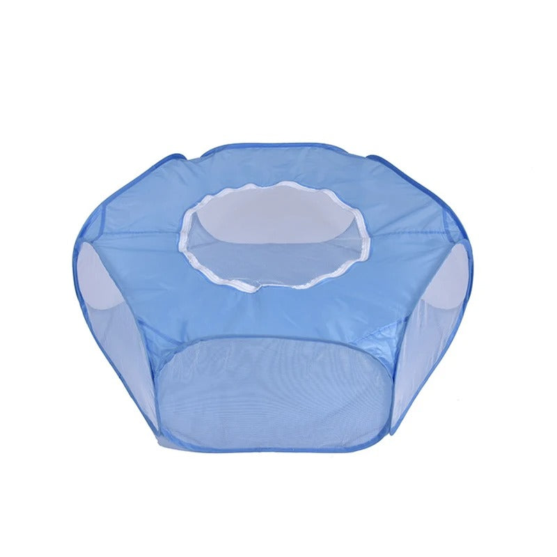 Parc pour chien bleu ferme