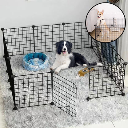 Parc pour chien border collie