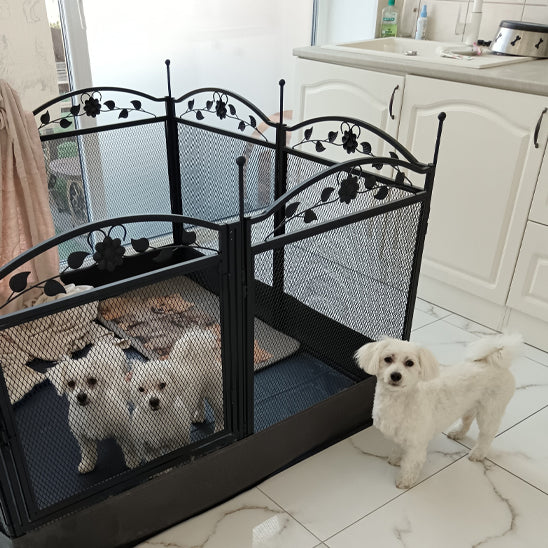 Parc pour chien cuisine