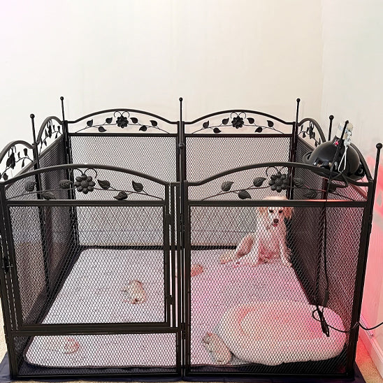 Parc pour chien labrador