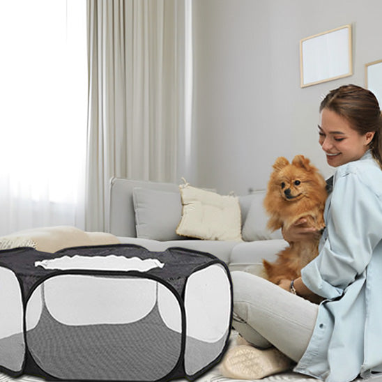 Parc pour chien spitz