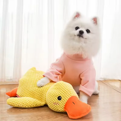 Peluche chien canard joueur