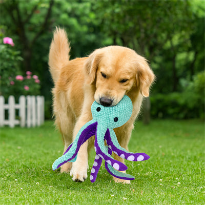 Peluche chien extérieur facile