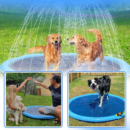 Piscine-pour-chien