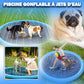 Piscine-pour-chien