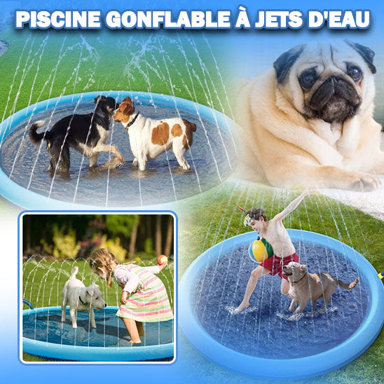 Piscine-pour-chien