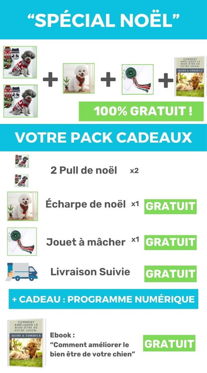 Pull de noël pour chien | Confort Natural