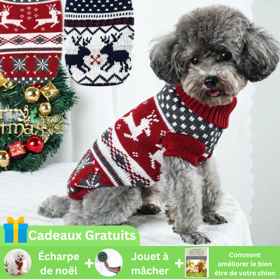 Pull de noël pour chien | Confort Natural