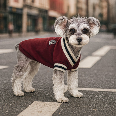 Pull pour chien rouge chaud