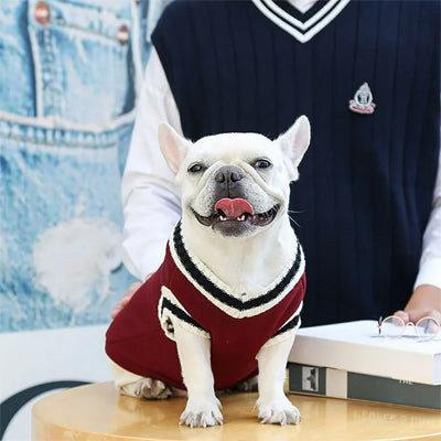 Pull pour chien rouge design