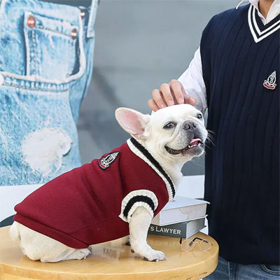 Pull pour chien rouge