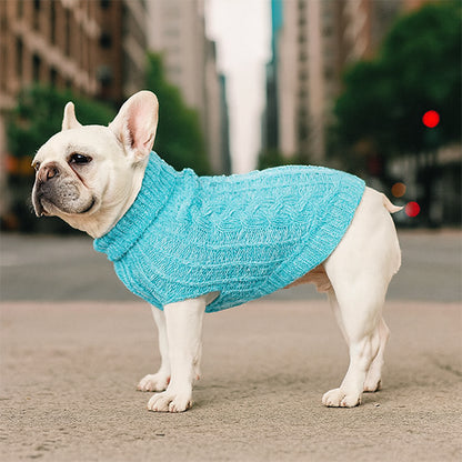 Pull pour chien bleu ciel chaud