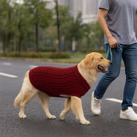 Pull pour chien bordeaux