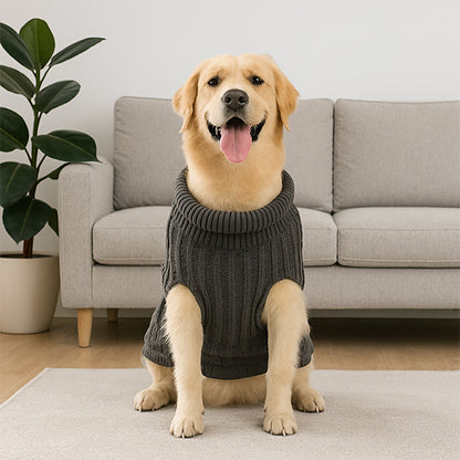 Pull pour chien gris