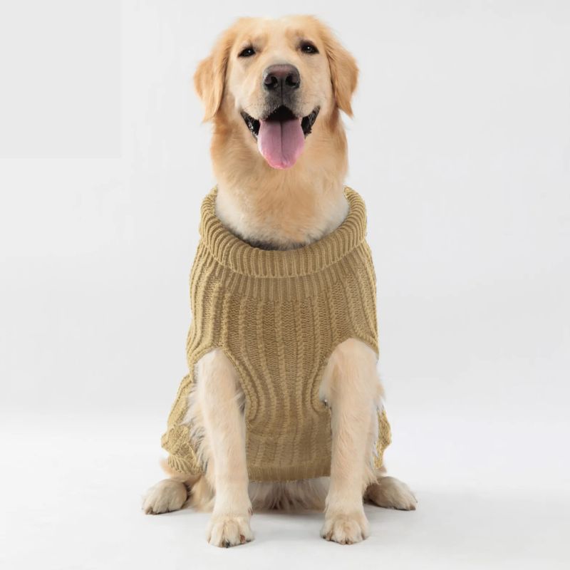 Pull pour chien kaki design