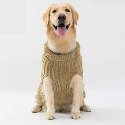 Pull pour chien kaki design
