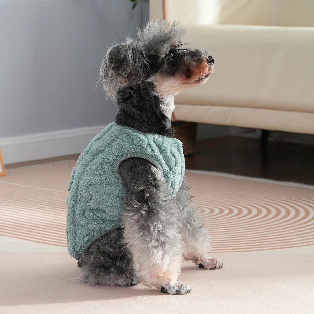 Pull pour chien vert chaud