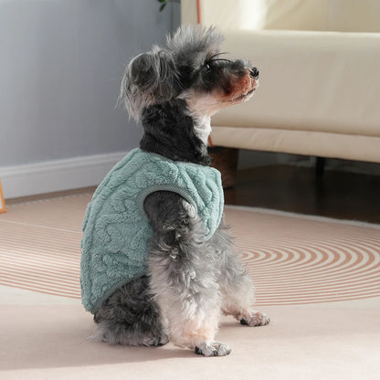 Pull pour chien vert chaud