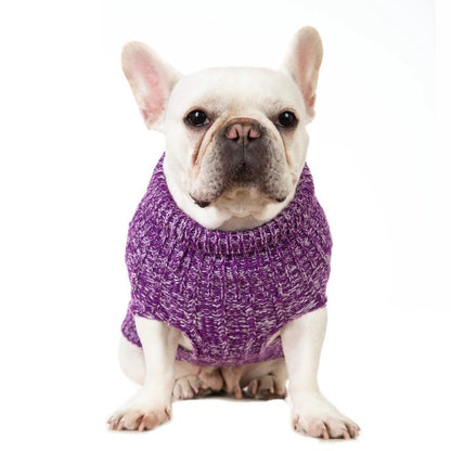 Pull pour chien violet