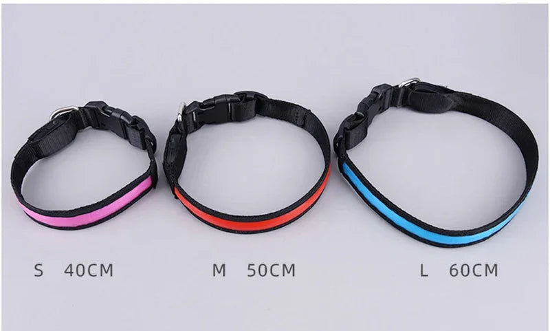 Colliers lumineux pour chiens | SecuriNight