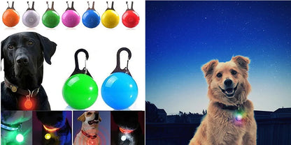 Collier lumineux chien | VisioNight