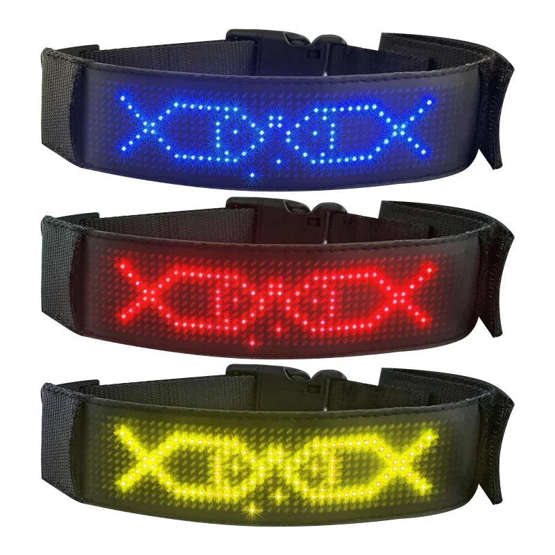 Collier lumineux chien | LED-Safety