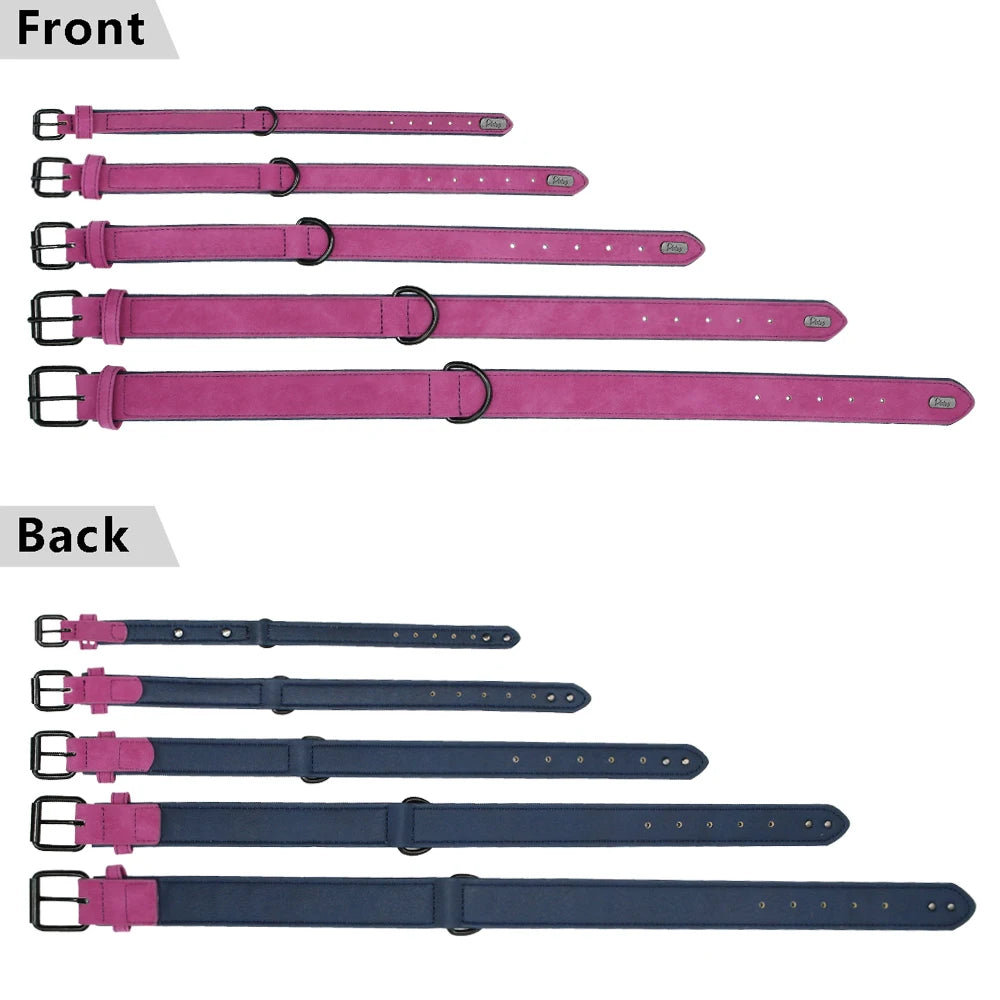 Collier Chien | Comfort Premium