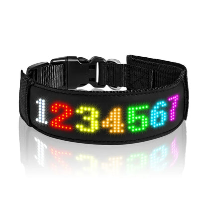 Collier lumineux chien | LED-Safety