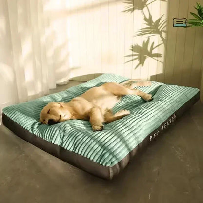 Matelas pour chien