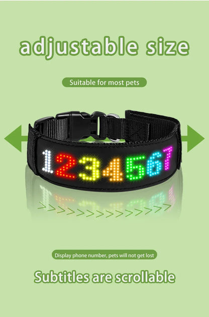Collier lumineux chien | LED-Safety
