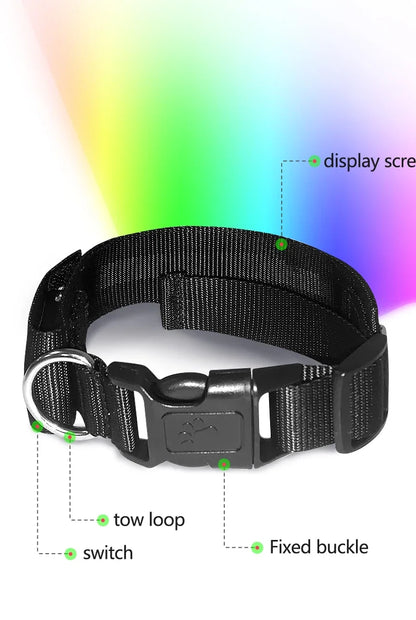 Collier lumineux chien | LED-Safety
