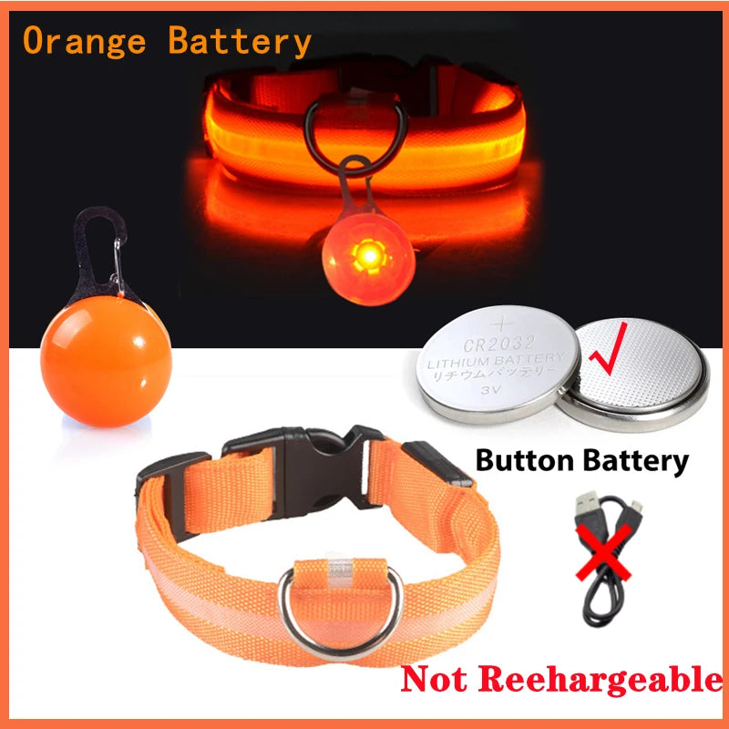 Collier lumineux pour chien | NightSafe