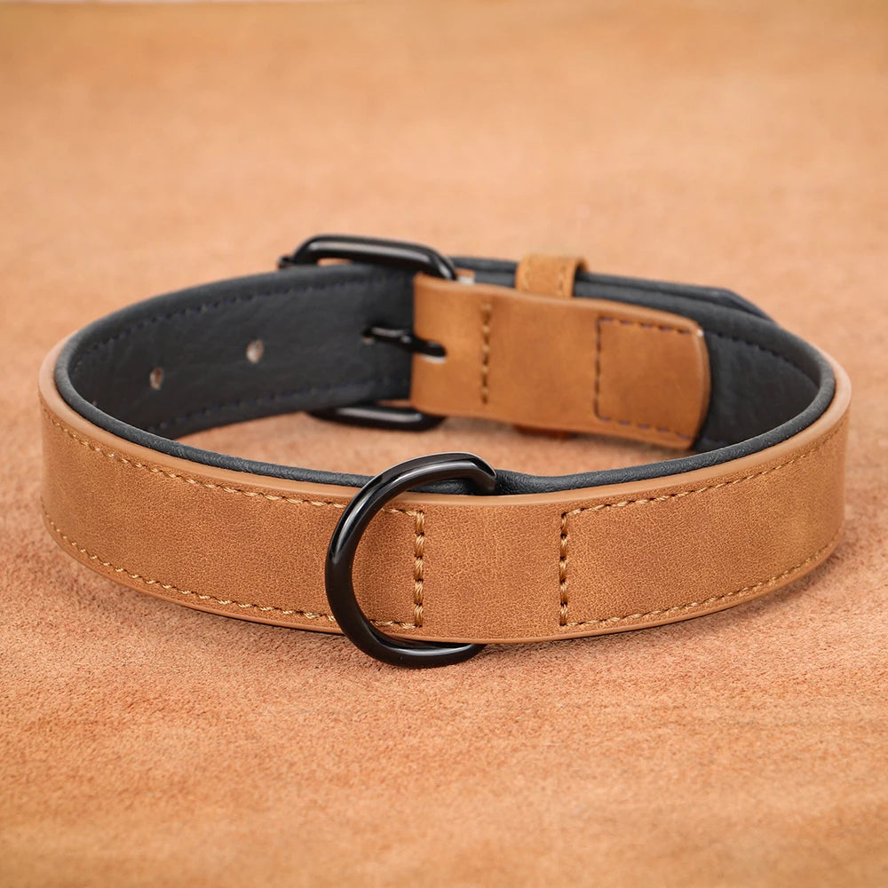 Collier Chien | Comfort Premium
