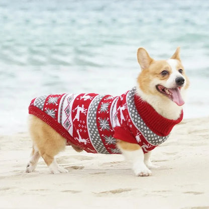Pull de Noël pour Chien | Chaleureux