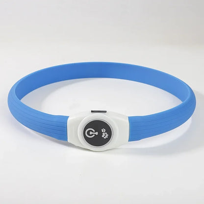 Collier lumineux chien | VisioNight