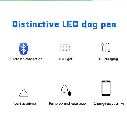 Collier lumineux chien | LED-Safety