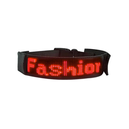 Collier lumineux chien | LED-Safety